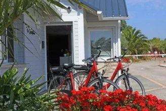 Camping Hautes Grées 3*, Camping 3* à Erquy (Cotes d'Armor) - Location Mobil Home pour 6 personnes - Photo N°15