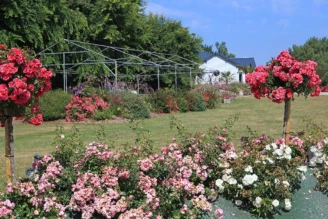 Camping Hautes Grées 3*, Camping 3* à Erquy (Cotes d'Armor) - Location Mobil Home pour 6 personnes - Photo N°18
