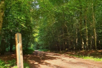 Camping L'Orival 3*, Camping 3* à Les Grandes Ventes (Seine Maritime) - Location Mobil Home pour 6 personnes - Photo N°13