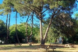 Camping Les Fougeres 3*, Camping 3* à Rivedoux Plage (Charente Maritime) - Location Mobil Home pour 4 personnes - Photo N°4