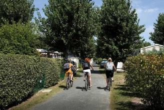 Camping Le Maine 4*, Camping 4* à Grand Village Plage (Charente Maritime) - Location Mobil Home pour 4 personnes - Photo N°13