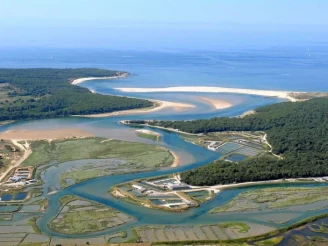 Camping Sun Océan 3*, Camping 3* à Talmont Saint Hilaire (Vendée) - Location Mobil Home pour 4 personnes - Photo N°6
