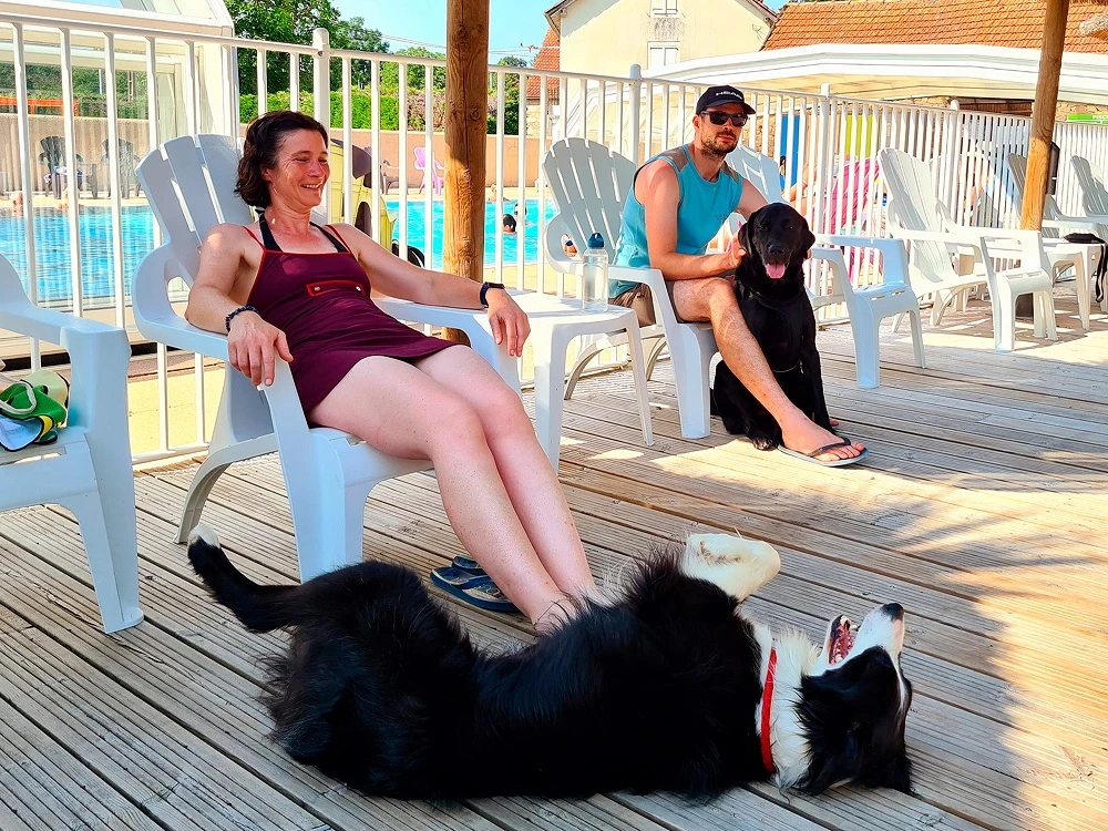 Deux personnes se détendent sur des chaises longues aux côtés de leurs chiens, profitant d'un moment convivial et ensoleillé