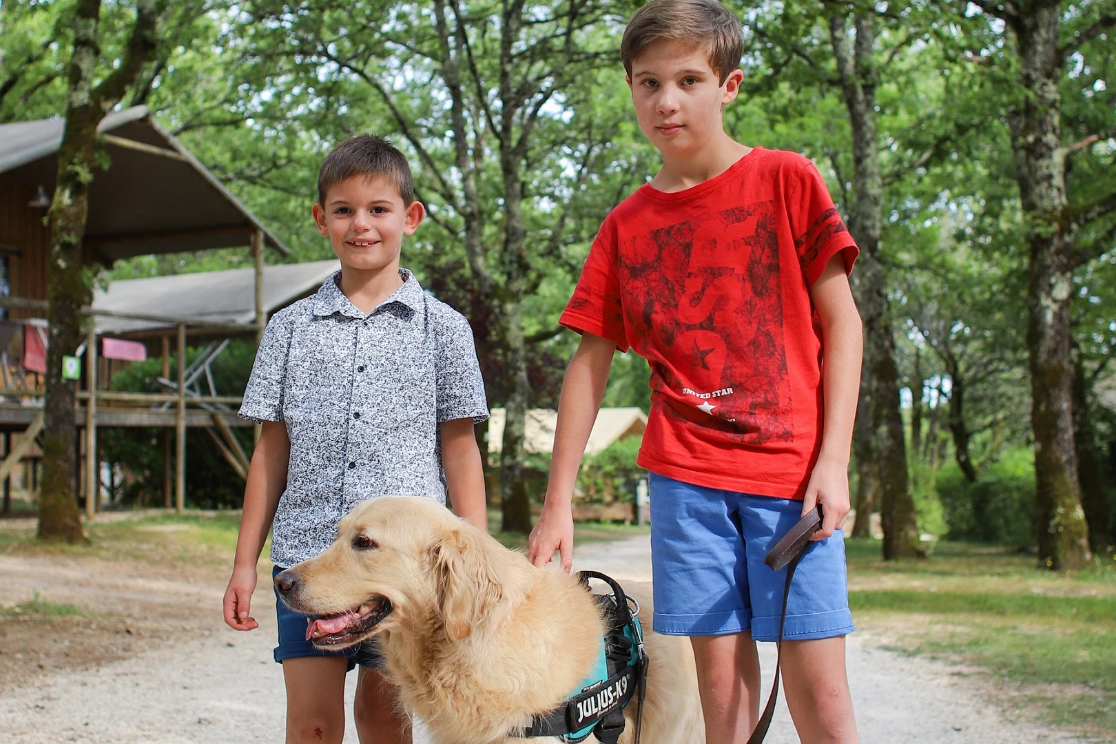 camping avec animaux acceptés - camping les Hirondelles 4 étoiles