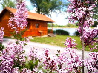 Camping La Motte Flottante 2*, Camping 2* à La Freissinouse (Hautes Alpes) - Location Chalet pour 4 personnes - Photo N°1